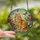 Cat Lovers' Fluffy Orange Tabby Stained Glass Art Vibrant Garden Floral Jewel Tone Mosaic Stained Glass Suncatcher - 2