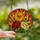 Nature Lovers' Glowing Stained Glass Butterfly Floral Mosaic Tiffany Style Orange Red Yellow Green Art Stained Glass Suncatcher - 2