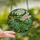 Nature Lovers' Stained Glass Grasshopper Tiffany Style Jewel Tone Mosaic Design Stained Glass Suncatcher - 2