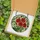 Nature Enthusiasts' Fiery Red Poppy Deep Green Leaves Stained Glass Tiffany Art Mosaic Pattern Stained Glass Suncatcher - 5