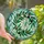 Artful Individuals' Stained Glass Olive Branch Emerald Aqua Jewel Tone Pattern Stained Glass Suncatcher - 1