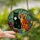 Cat Lovers' Tiffany Style Stained Glass Black & Orange Cats Vibrant Garden Floral Mosaic Stained Glass Suncatcher - 2