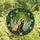 Ferret Lovers' Ornate Sable Ferret Stained Glass Art with Emerald Leaves, Ruby Berries & Blue Sky Mosaic Stained Glass Suncatcher - 4