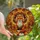 Autumn Enthusiasts' Intricate Stained Glass Fox Autumn Wreath Pumpkin Forest Design Stained Glass Suncatcher - 1