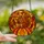 Autumn Art Lovers' Glowing Tiffany Stained Glass Squirrel Pumpkin Fiery Orange Mosaic Stained Glass Suncatcher - 2