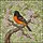 Bird Lovers' Edge-to-Edge Stained Glass Baltimore Oriole, Bright Orange & Pink Cherry Blossom Mosaic Stained Glass Suncatcher - 5