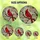 Art Admirers' Vibrant Red Cardinal Pink Cherry Blossom Tiffany Glass Mosaic Pattern Stained Glass Suncatcher - 6