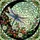 Art Enthusiasts' Vibrant Tiffany Stained Glass Dragonfly Floral Mosaic, Jewel Tone Blues, Greens, Pinks Stained Glass Suncatcher - 7