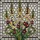 duiyfppz/products/693a79362353209fa8ee6e3d/gallery/dH5mocrqI3