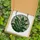 Nature Lovers' Luminous Tiffany Style Lily of the Valley Emerald Green Frosted Glass Mosaic Stained Glass Suncatcher - 0mU53U9AaC
