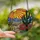 Desert Lovers' Tiffany Style Stained Glass Saguaro & Barrel Cactus Landscape Jewel Tone Mosaic Stained Glass Suncatcher - DovqzcvsQv