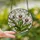 Floral Art Lovers' Glowing Tiffany Style Orchid Bloom Jewel Tone Mosaic Pattern Stained Glass Suncatcher - 2