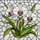Floral Art Lovers' Glowing Tiffany Style Orchid Bloom Jewel Tone Mosaic Pattern Stained Glass Suncatcher - 7