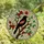 Nature Lovers' Vibrant Tiffany Stained Glass Red-Winged Blackbird Floral Mosaic Stained Glass Suncatcher - MiCeUKNPmS