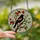 Nature Lovers' Vibrant Tiffany Stained Glass Red-Winged Blackbird Floral Mosaic Stained Glass Suncatcher - rQ_K7P2uNj