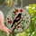 Nature Lovers' Vibrant Tiffany Stained Glass Red-Winged Blackbird Floral Mosaic Stained Glass Suncatcher - z2d_CYomUD