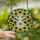 OVc5rvN_Q-