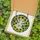 REGnbpISPd
