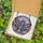 Gothic Art Enthusiasts' Tiffany Glass Skeletal Fairy, Violet Rose & Skull Mosaic Art Stained Glass Suncatcher - LcyUsBasjq