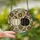 Art Nouveau Style Fans' Tiffany Stained Glass White Black Pumpkin Floral Amber Bronze Cream Mosaic Pattern Stained Glass Suncatcher - 2
