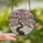 Women's Detailed Tiffany Style Cherry Blossom Tree Vibrant Pink Blush Luminous Gray Floral Mosaic Stained Glass Suncatcher - 2