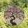 Women's Detailed Tiffany Style Cherry Blossom Tree Vibrant Pink Blush Luminous Gray Floral Mosaic Stained Glass Suncatcher - 4
