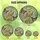 Bearded Dragon Lovers' Tiffany Stained Glass Eddie Floral Wreath Butterfly Mosaic Art Beige Green Blue Orange Pink Stained Glass Suncatcher - 6