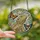 Bearded Dragon Lovers' Tiffany Stained Glass Eddie Floral Wreath Butterfly Mosaic Art Beige Green Blue Orange Pink Stained Glass Suncatcher - 2