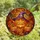 Halloween Enthusiasts' Glowing Amber Stained Glass Jack-o'-Lantern Witch Hat & Purple Spider Autumn Mosaic Stained Glass Suncatcher - 4
