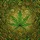 Botanical Art Lovers' Stained Glass Emerald Forest Golden Seven-Pointed Leaf Intricate Swirls Mosaic Stained Glass Suncatcher - 7