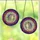 FF5qLhQVNi