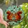 Nature Enthusiasts' Intricate Stained Glass Squirrels Acorn Woodland Mosaic, Tiffany Style Jewel Tones Orange Red Aqua Green Stained Glass Suncatcher - 1