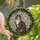 Cat Lovers' Intricate Tiffany Stained Glass Tabby Cat Mosaic Green Wreath Pink Berries Stained Glass Suncatcher - 1