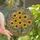 Art Lovers' Vibrant Tiffany Stained Glass Floral Mosaic Golden Amber Teal Bloom Stained Glass Suncatcher - 1