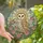 Art Enthusiasts' Tiffany Style Stained Glass Barn Owl Pink Peony Geometric Sunburst Design Stained Glass Suncatcher - 1