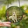 Nature Art Lovers' Tiffany Stained Glass White German Shepherd Wildflower Forest Mosaic, Vibrant Jewel Tones Stained Glass Suncatcher - AHJUhzMV9Y