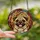 Pug Lovers' Adorable Pug Dog Tiffany Stained Glass Jewel Tone Intricate Mosaic Pattern Stained Glass Suncatcher - 2