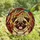 Pug Lovers' Adorable Pug Dog Tiffany Stained Glass Jewel Tone Intricate Mosaic Pattern Stained Glass Suncatcher - 4