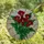 Art Lovers' Vibrant Red Green Yellow Calla Lily Tiffany Stained Glass Floral Mosaic Stained Glass Suncatcher - HJ6AaaZdkI