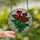 Art Lovers' Vibrant Red Green Yellow Calla Lily Tiffany Stained Glass Floral Mosaic Stained Glass Suncatcher - r3QMGYLFLi