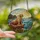 Nature Lovers' Majestic Walrus Tiffany Stained Glass Ocean Mosaic Jewel-Toned Blues Teals Golden Orange Stained Glass Suncatcher - 2