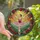 Ballet Lovers' Elegant Stained Glass Ballerina Pink Floral Wreath Jewel Tones Art Stained Glass Suncatcher - 1