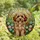 Dog Lovers' Vibrant Tiffany Stained Glass Maltipoo Wildflower Meadow Mosaic Stained Glass Suncatcher - tqGThbx4gr