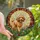 Poodle Parents' Stained Glass Apricot Poodle Wildflower Meadow Tiffany Style Jewel Tones Sunburst Mosaic Stained Glass Suncatcher - 1