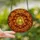 Autumn Art Lovers' Tiffany Stained Glass Autumn Wreath Fiery Orange Gold Red Amber Foliage Mosaic Stained Glass Suncatcher - 2