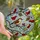 Nature Lovers' Jewel-Toned Stained Glass Winter Bird & Red Berries Mosaic Art Stained Glass Suncatcher - 1