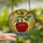 Art Lovers' Tiffany-Style Stained Glass Disco Apple Mosaic Deep Red Emerald Green Golden Sky Stained Glass Suncatcher - Lgolg-qZsB