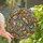 Science Enthusiasts' Whimsical Microbe Tiffany Stained Glass Yellow Lavender Teal Orange Pink Stained Glass Suncatcher - 1
