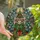 Cat Lovers' Grumpy Tabby Tiffany Stained Glass Christmas Tree Design Intricate Jewel Tone Festive Art Stained Glass Suncatcher - 1