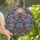 Holiday Art Lovers' Glowing Stained Glass Christmas Tree Botanical Mosaic Lavender Deep Violet Gold Sky Blue Aqua Stained Glass Suncatcher - 1
